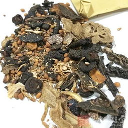 展望“十三五”，全力推進中醫藥振興發展——構建高品質中醫養生保健服務體系
