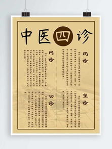 中醫(yī)保健四季養(yǎng)生指南 順應(yīng)自然，調(diào)和陰陽